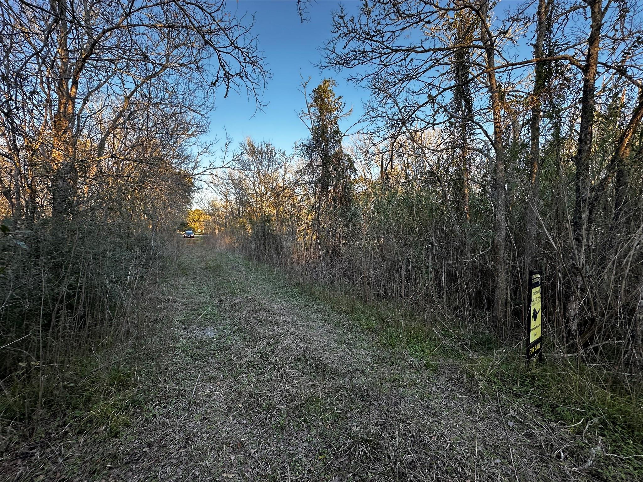00 Ash Drive