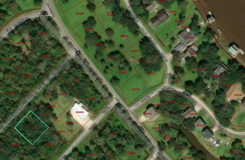 Photo of 0 Ash Drive, Brazoria, TX 77422 (MLS # 47566506)