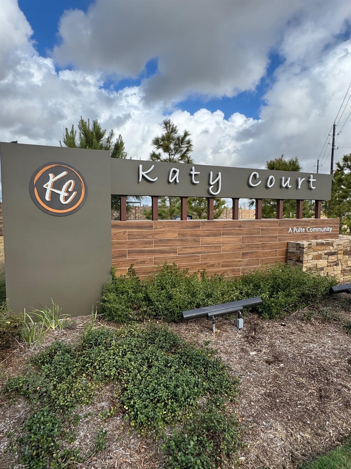 3523 Blue Mistflower Dr