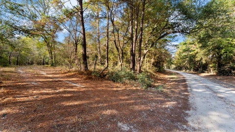 Vacant Land For Sale - 585 Bishop Road<br/> Walker County, Huntsville, TX 77320
