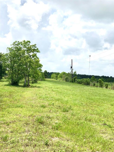 Vacant Land For Sale - 14153 Hamshire Road<br/> Hamshire, TX 77622