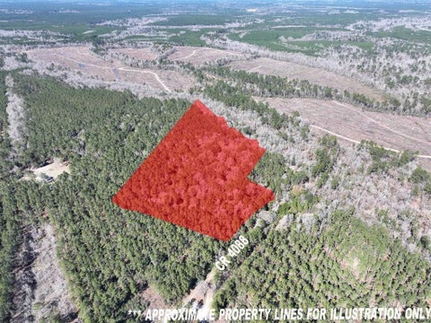 Photo of 422 County Road 4088, Bon Wier, TX 75928 (MLS # 38811642)