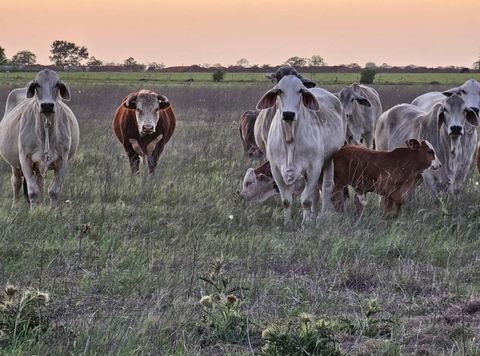 Vacant Land For Sale - N/A Old Columbus Rd N<br/> Sealy, TX 77474