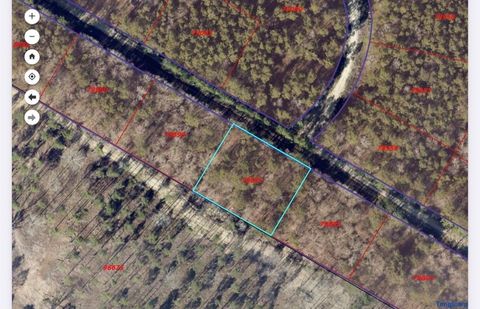 0 E Acorn Drive Oakhurst TX 77359