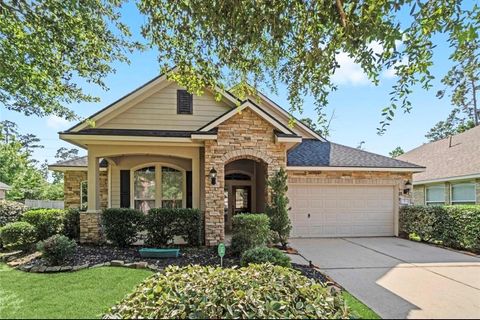Photo of 7 Fraiser Fir Place, Spring, TX 77389 (MLS # 82450377)
