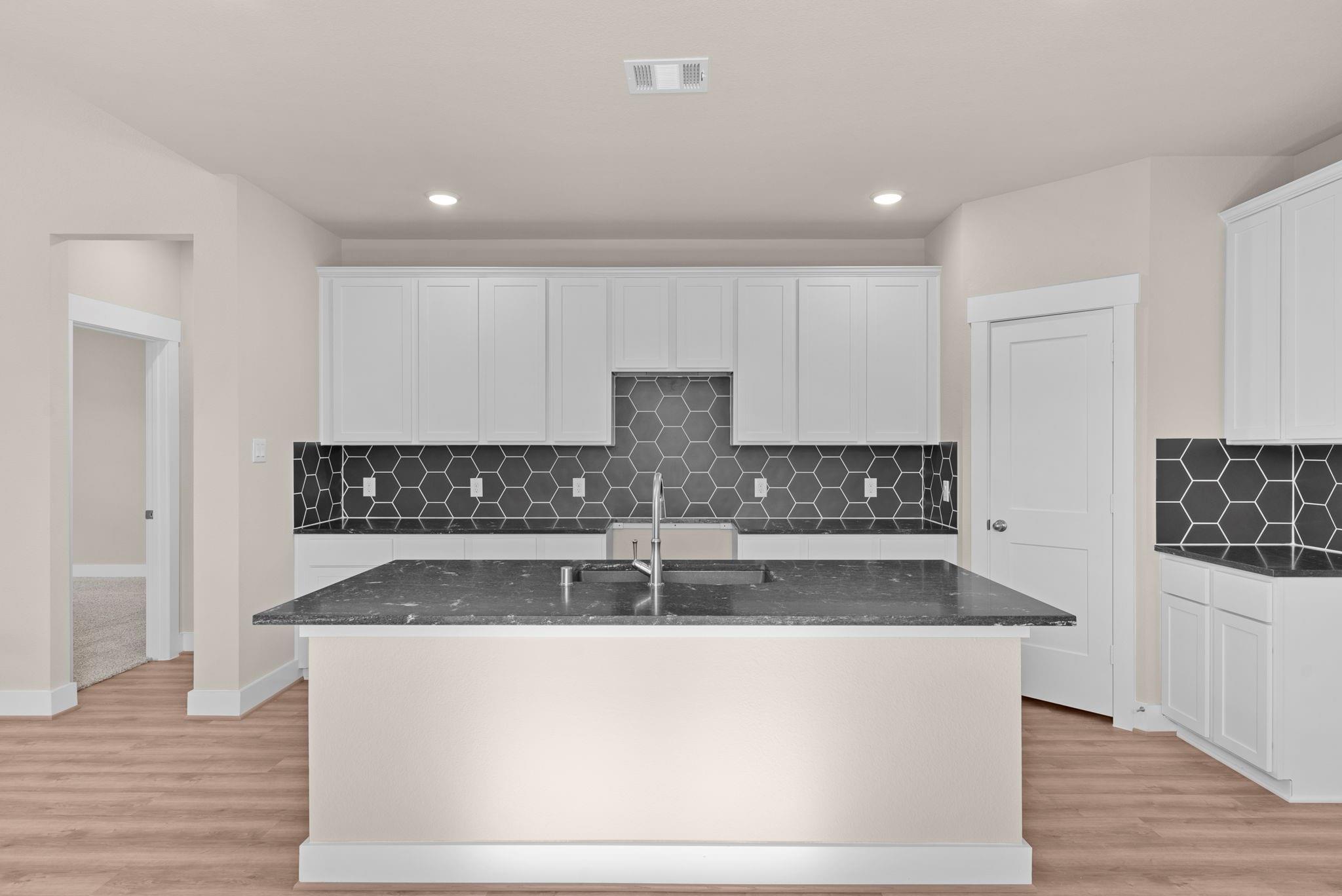 21443 Gazania Daisy Lane
