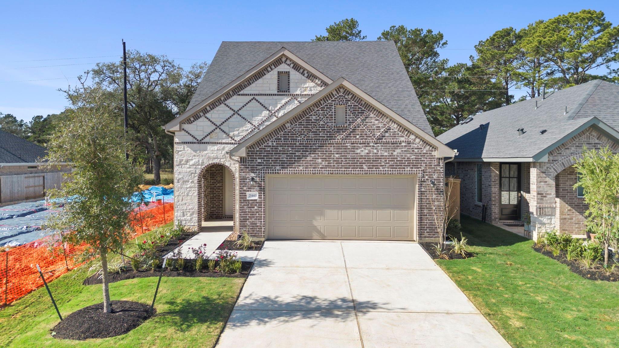 21443 Gazania Daisy Lane