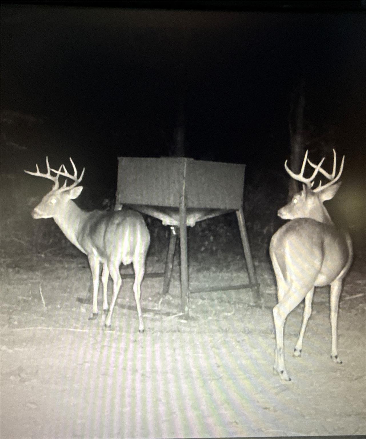 9695 County Rd 3555