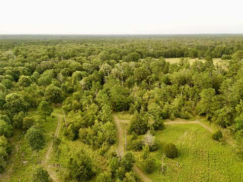 Photo of 9695 County Rd 3555, Lovelady, TX 75851 (MLS # 66627769)
