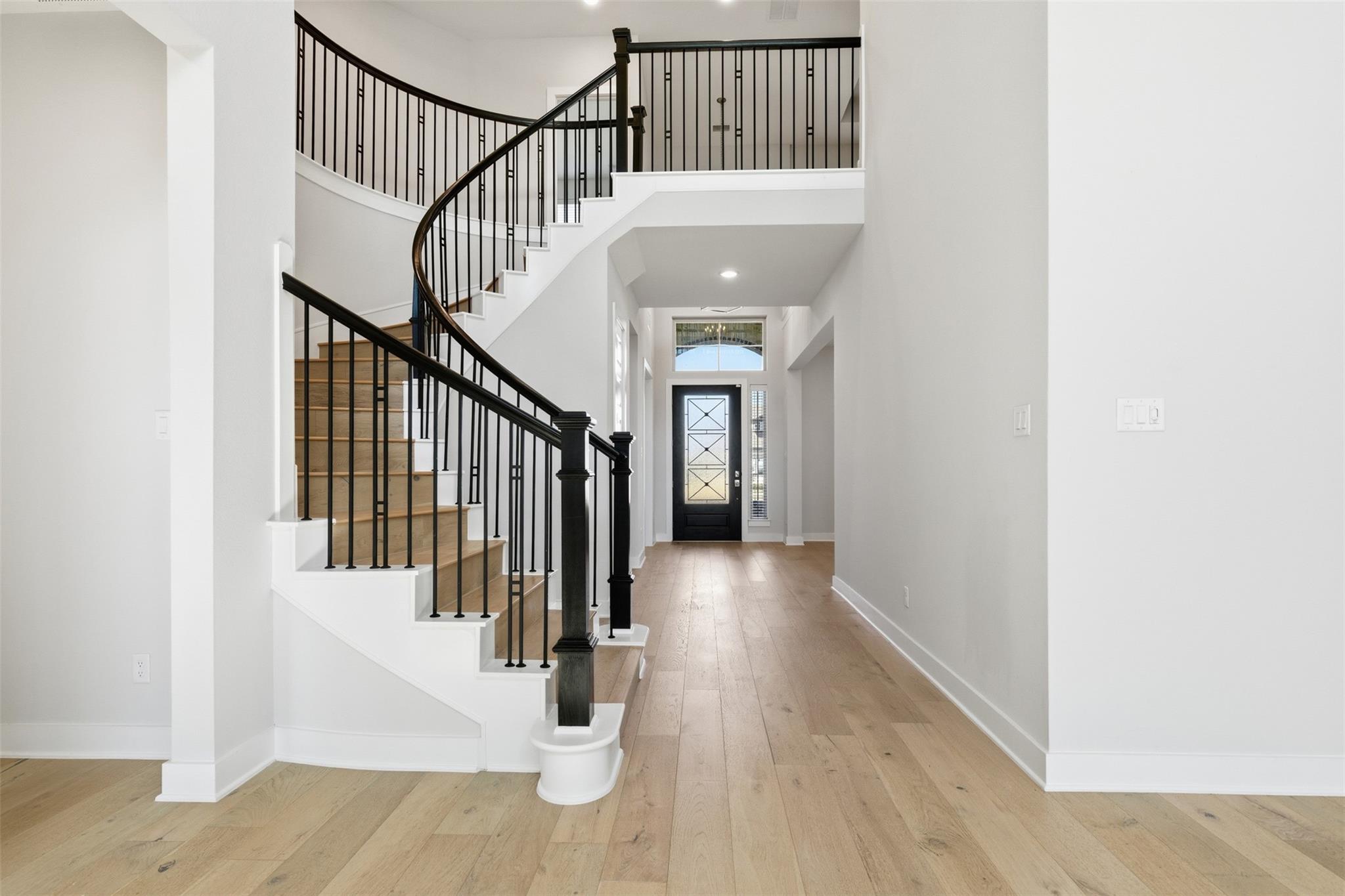 21311 Blue Wood Aster Court