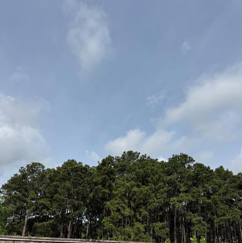 Tiny photo for 2809 Shadow Woods Court, Houston, TX 77043 (MLS # 50769685)