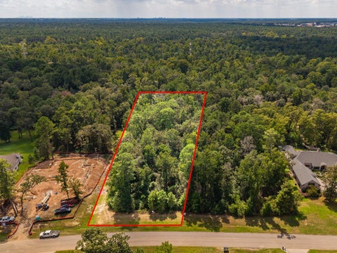 Photo of 27362 Shady Hills Landing Lane, Spring, TX 77386 (MLS # 10270552)