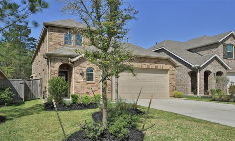 Photo of 177 Emory Birch Drive, Montgomery, TX 77316 (MLS # 80896982)