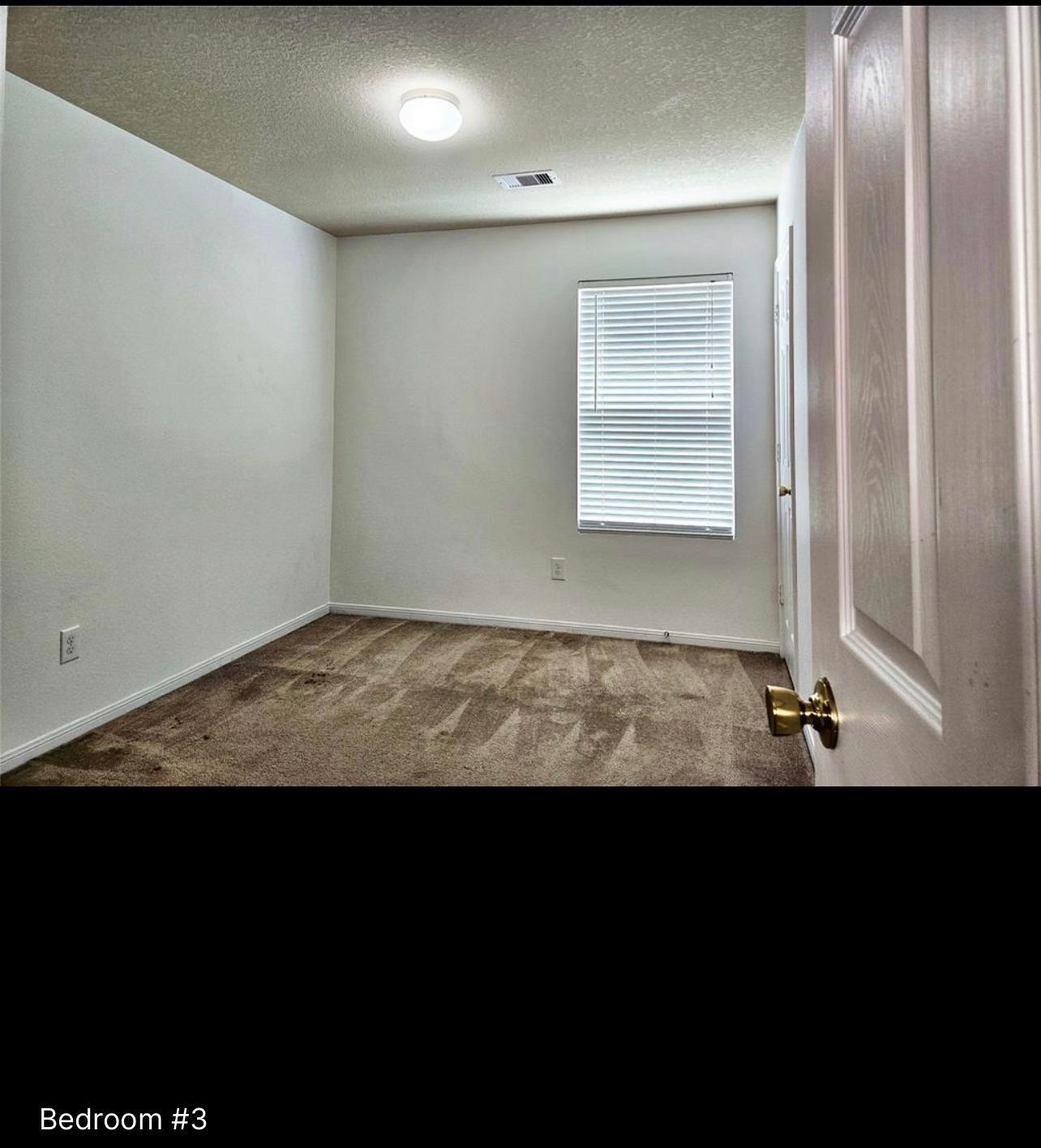 29433 Forest Floor Lane