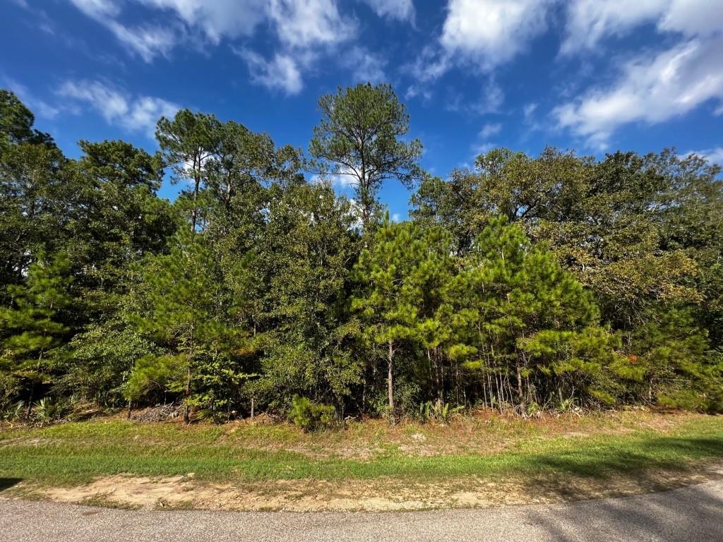 11805 & 11809 White Oak Pass