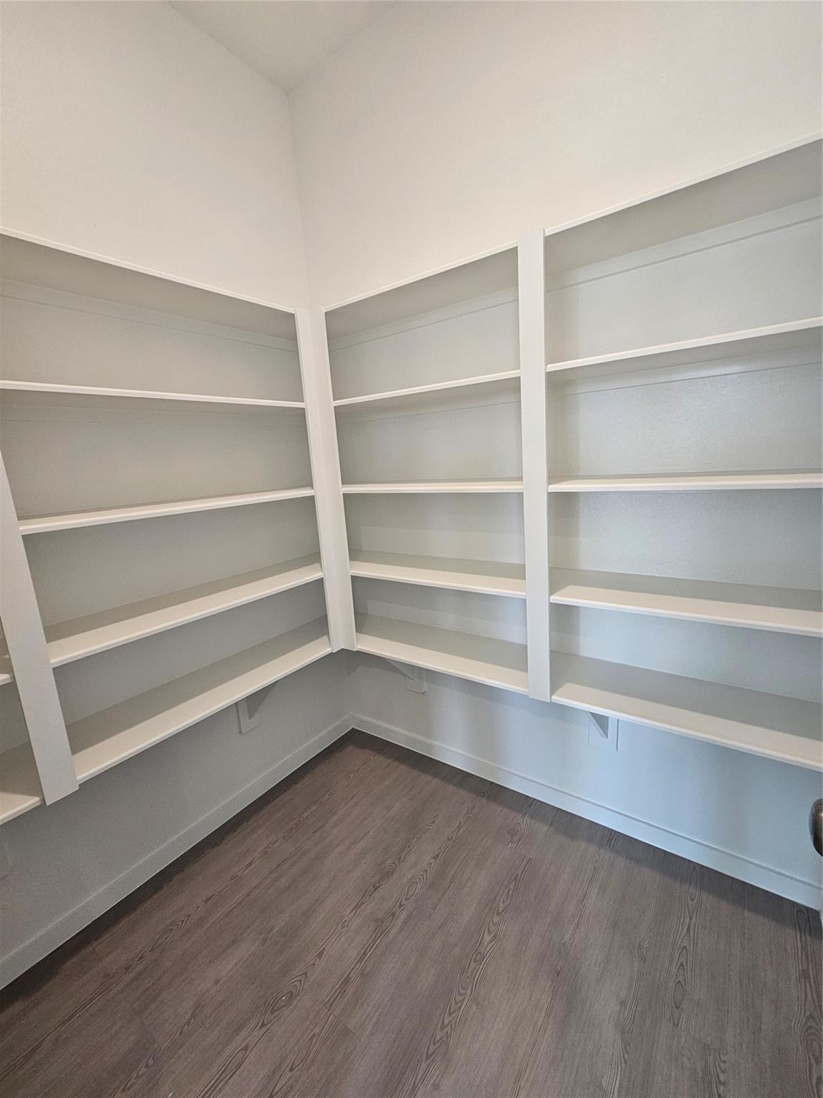 28614 Sun Cactus Drive