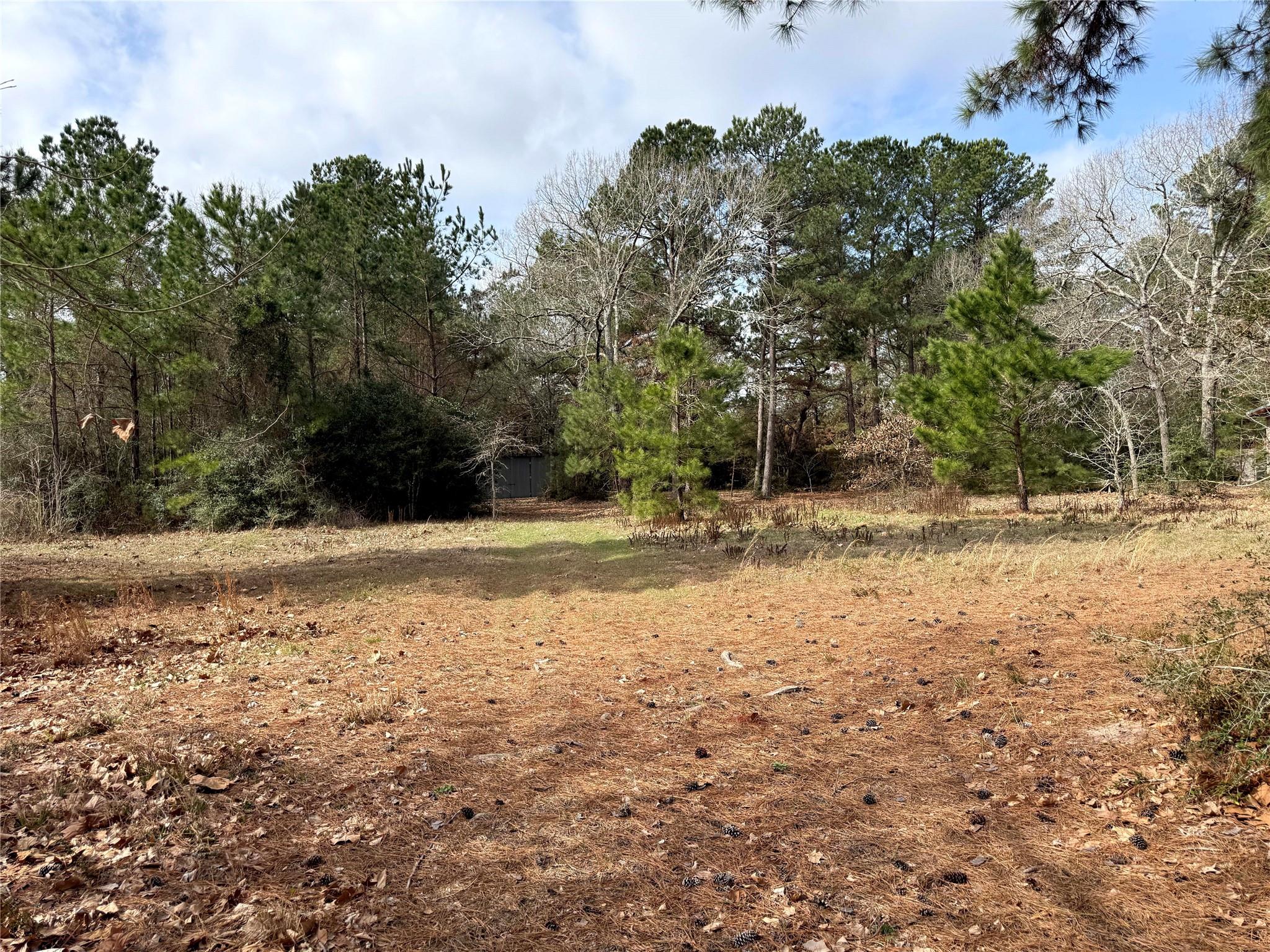 15409 Cherry Laurel Lane