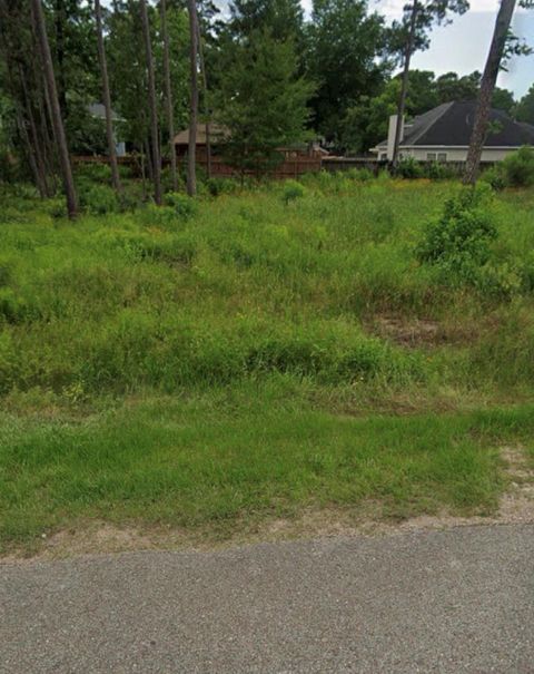 Photo of 1307 Flamingo Street, Conroe, TX 77385 (MLS # 10146026)