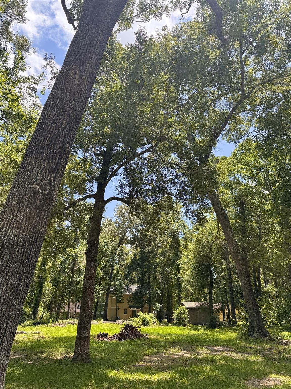 0 Elk Drive