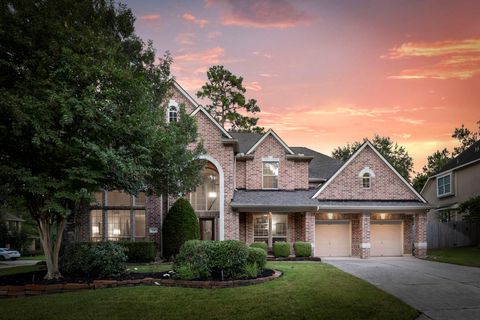 Photo of 14 Mammoth Springs Court, The Woodlands, TX 77382 (MLS # 63130983)