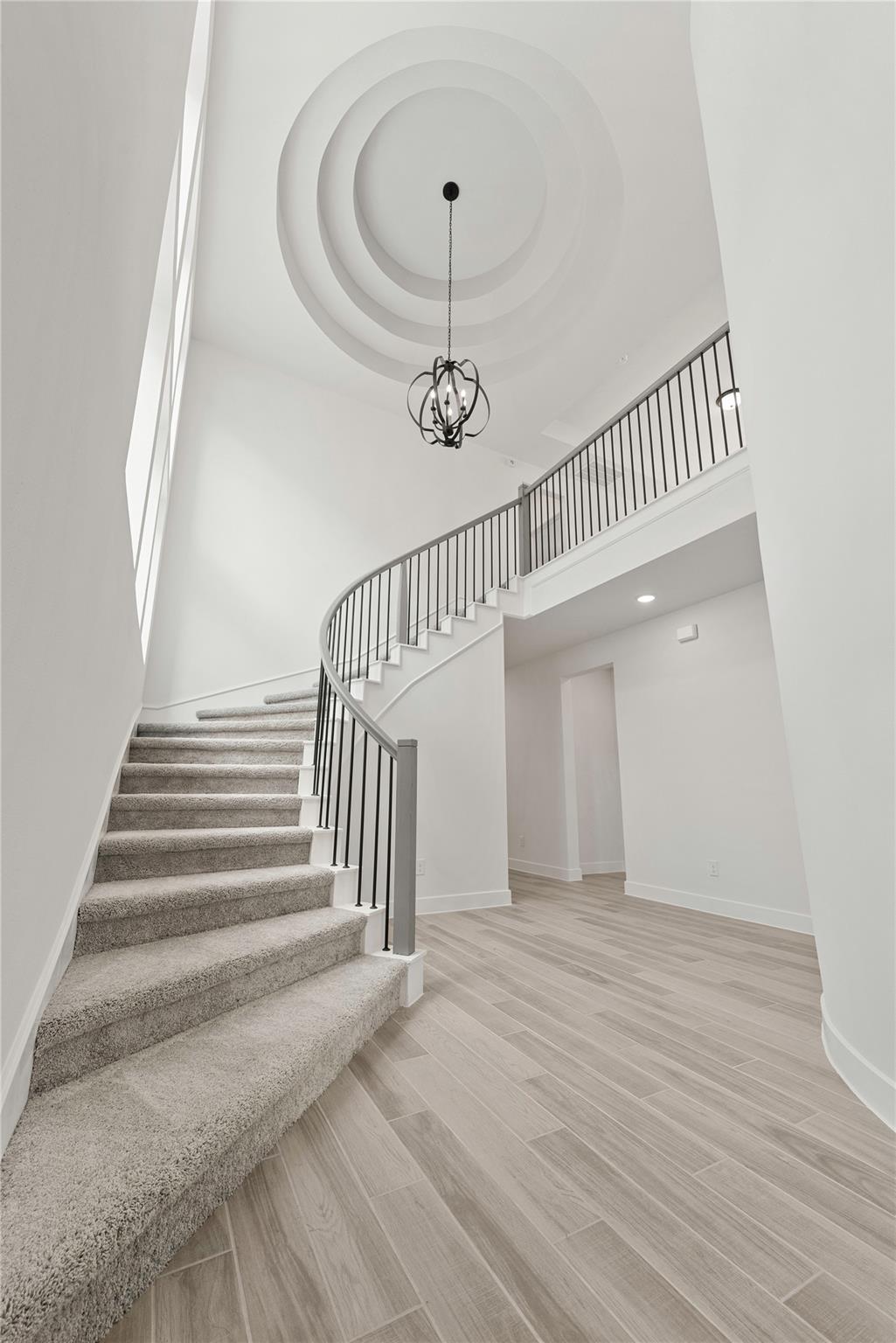 24946 Vervain Meadow Trail