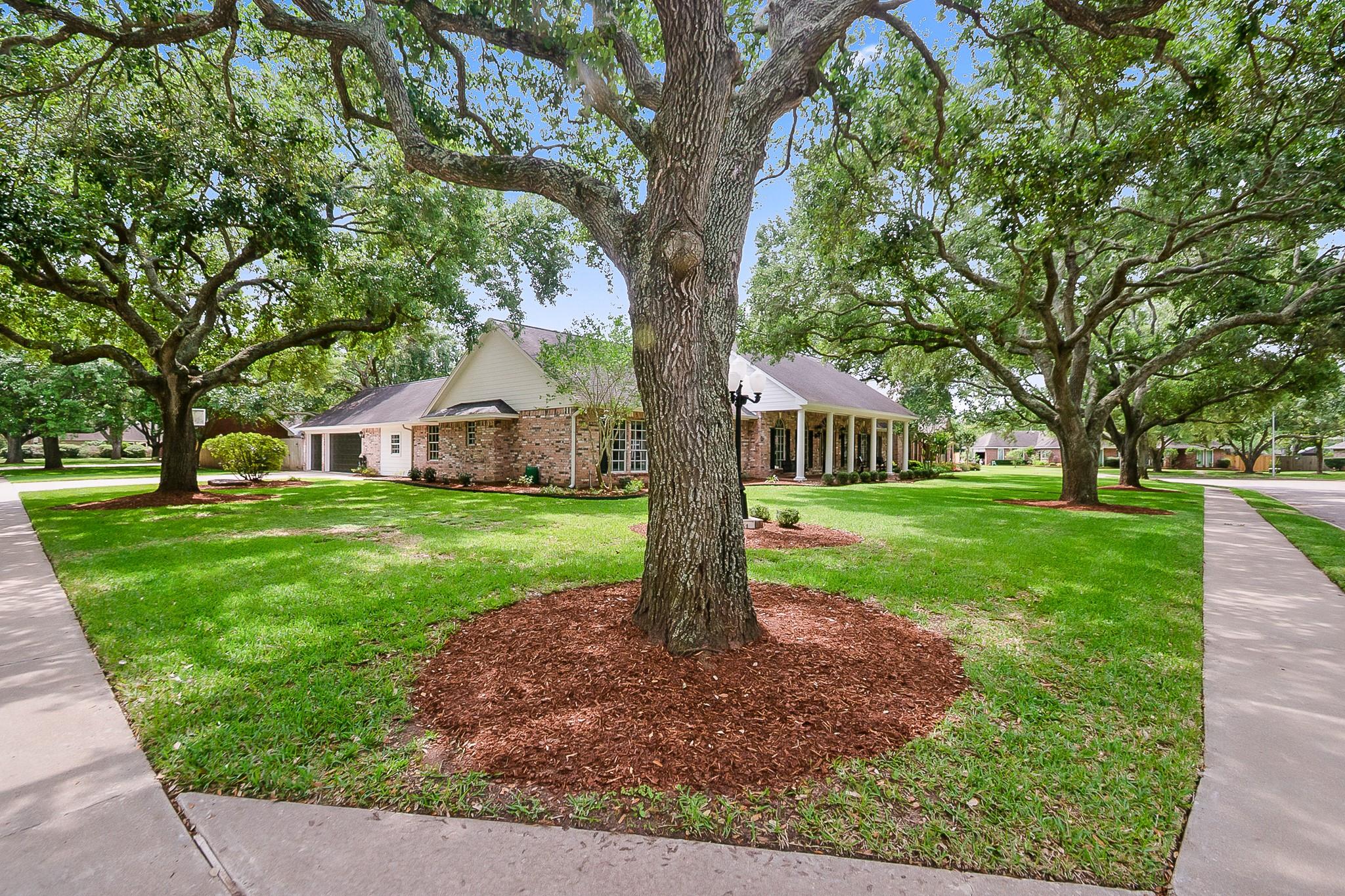 51 Dewberry Court