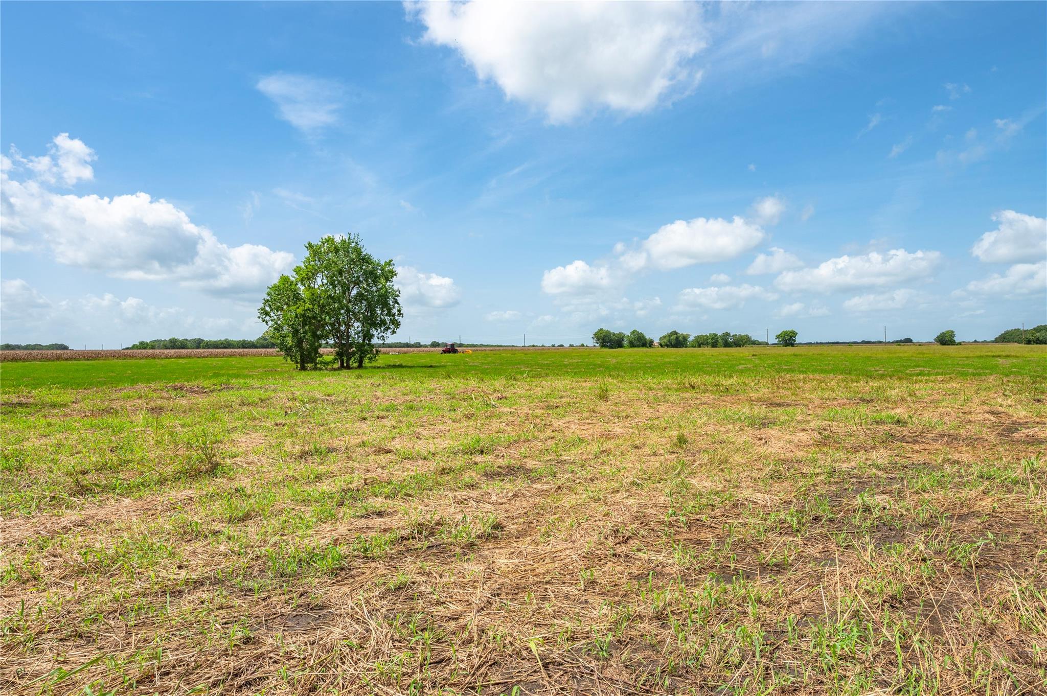 5207 Randon School Road