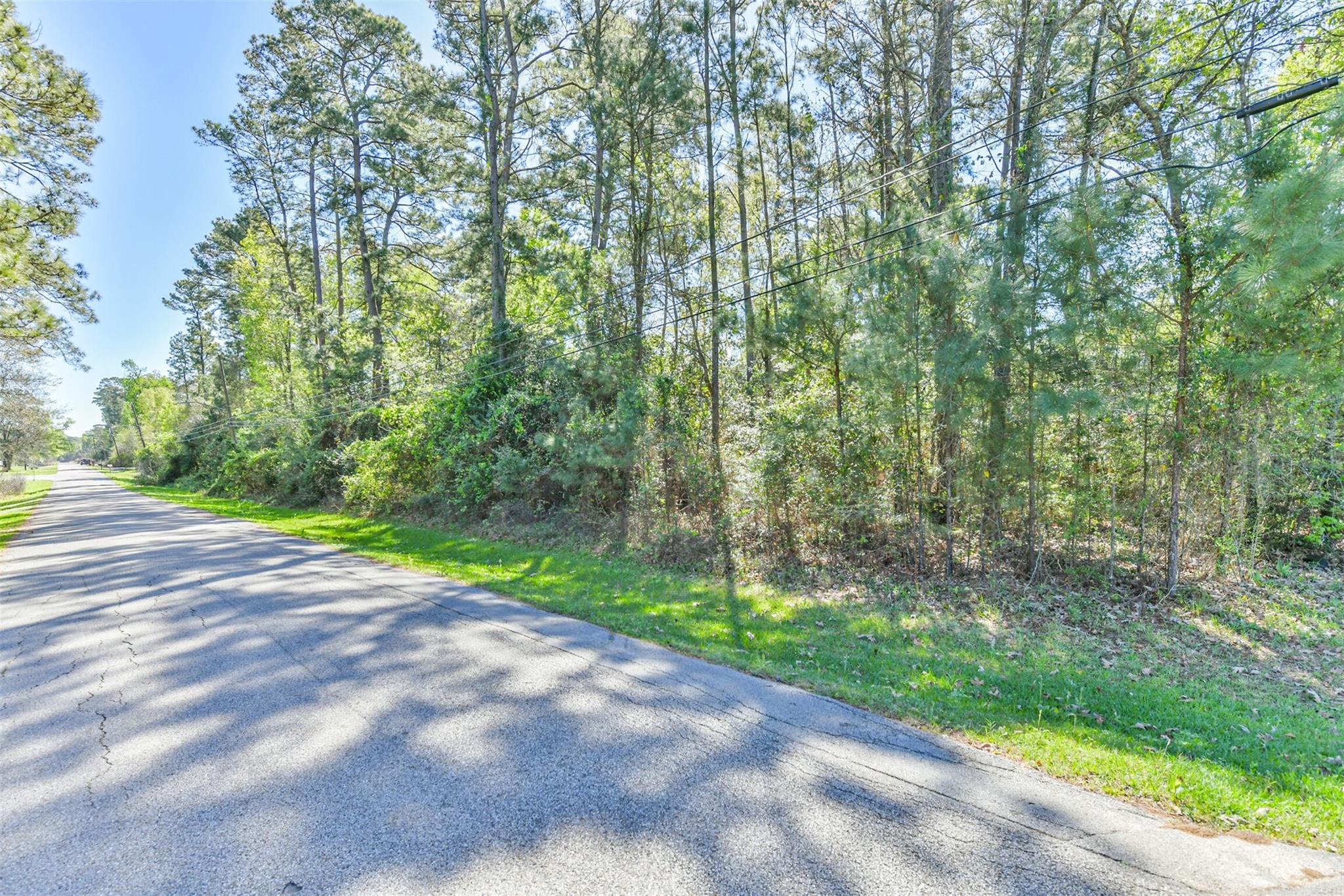 1811 Black Bear Drive