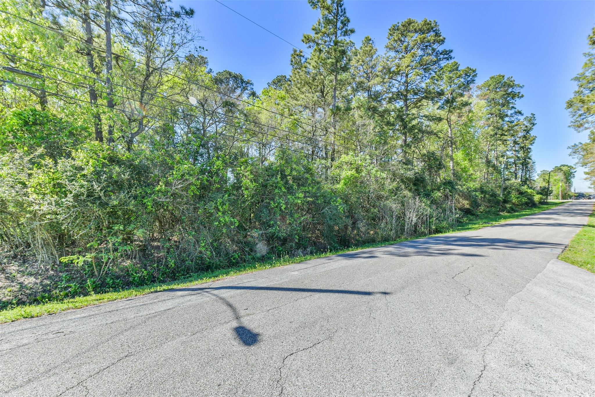 1811 Black Bear Drive
