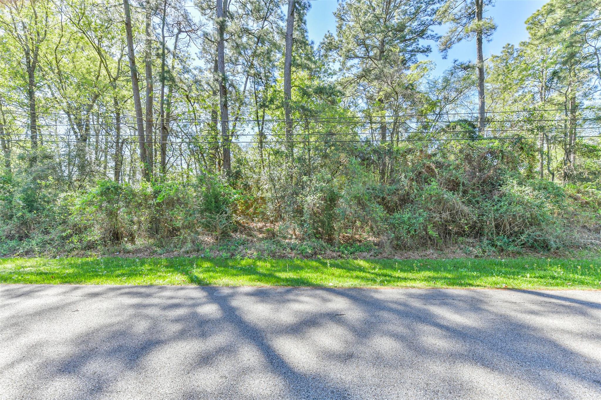 1811 Black Bear Drive