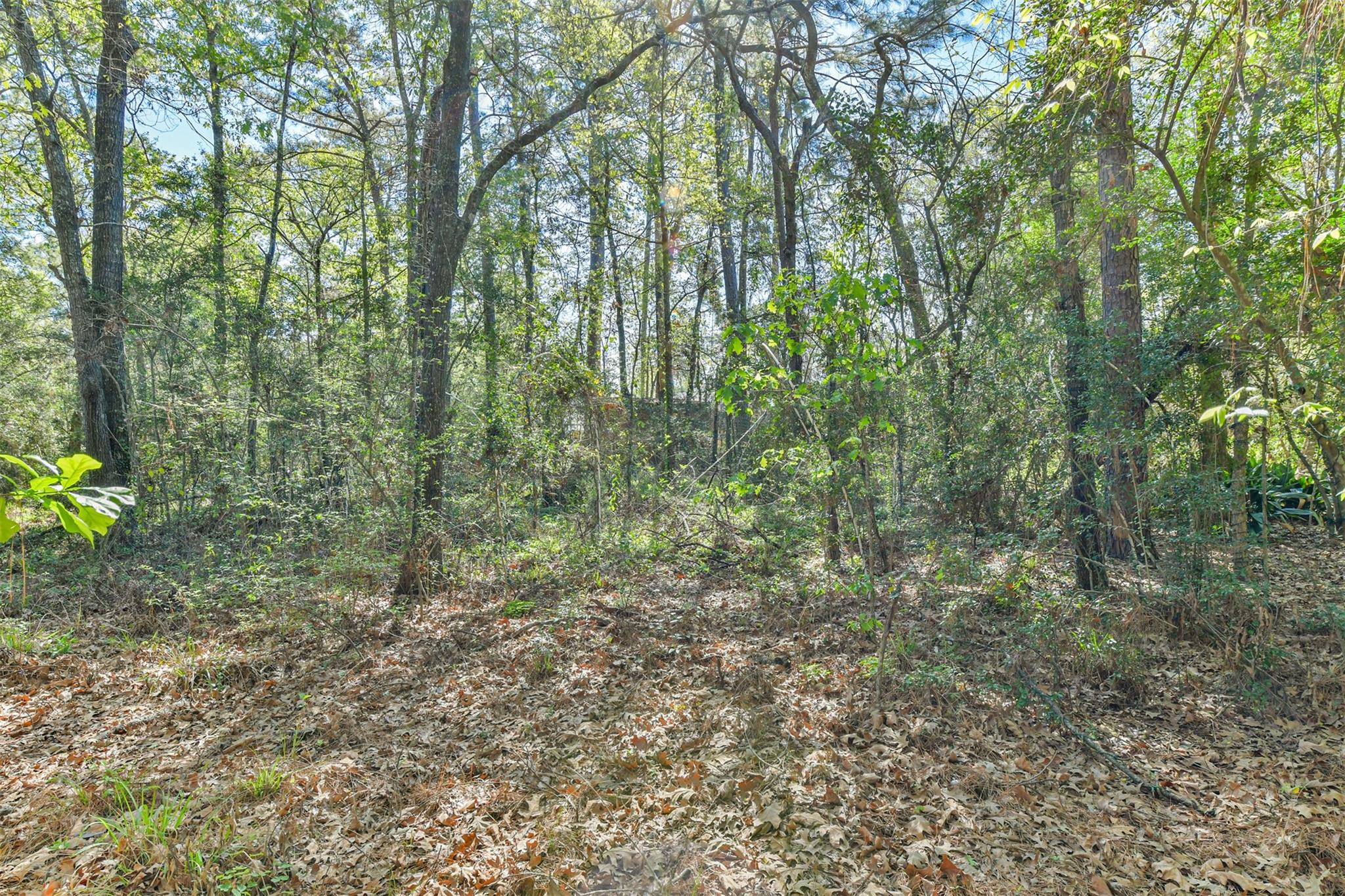 1811 Black Bear Drive