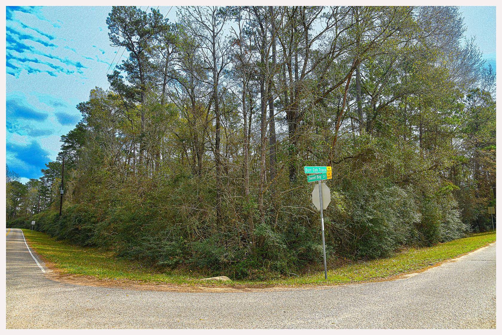7318 Burr Oak Trace