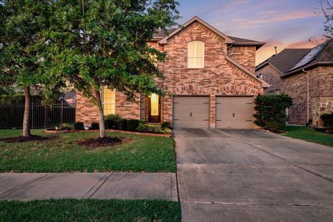 3930 Desert Zinnia Court Manvel TX 77578