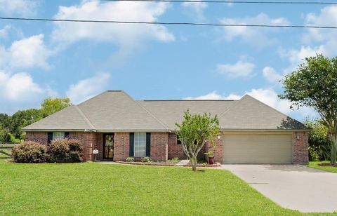 Photo of 21219 Horse Shoe Drive, Manvel, TX 77578 (MLS # 46916942)