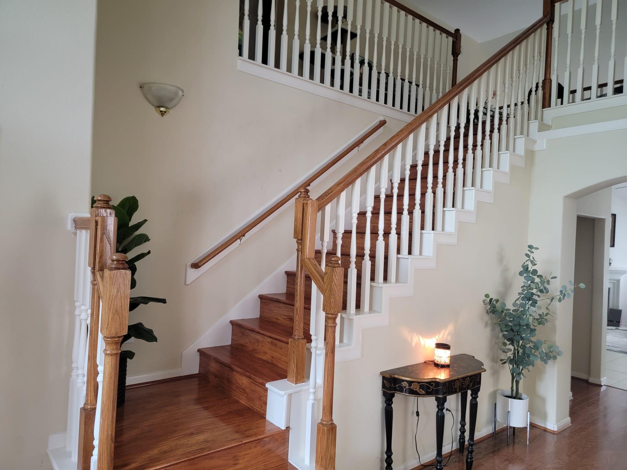 411 Starleaf Lane