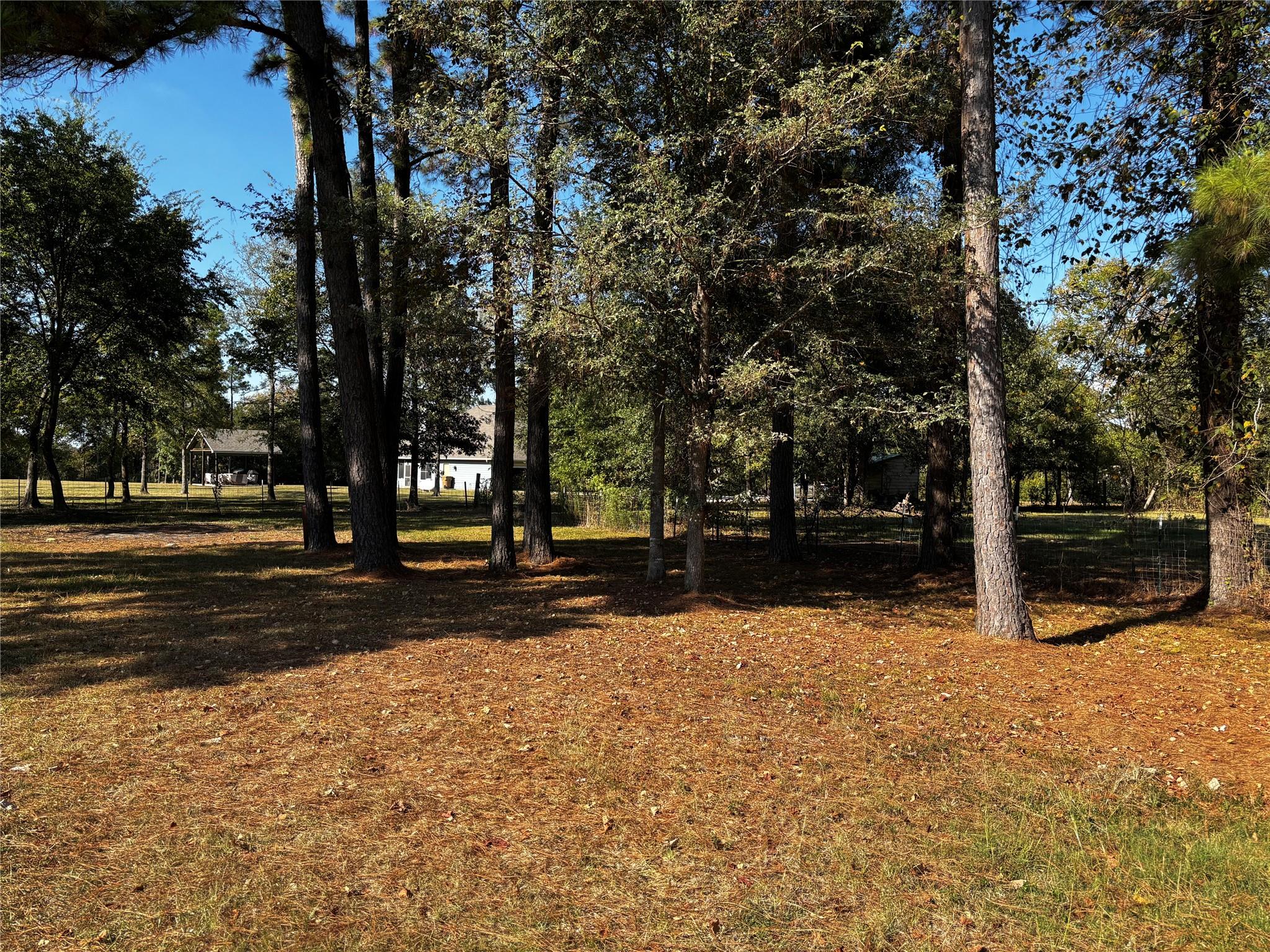 44 Pine Avenue