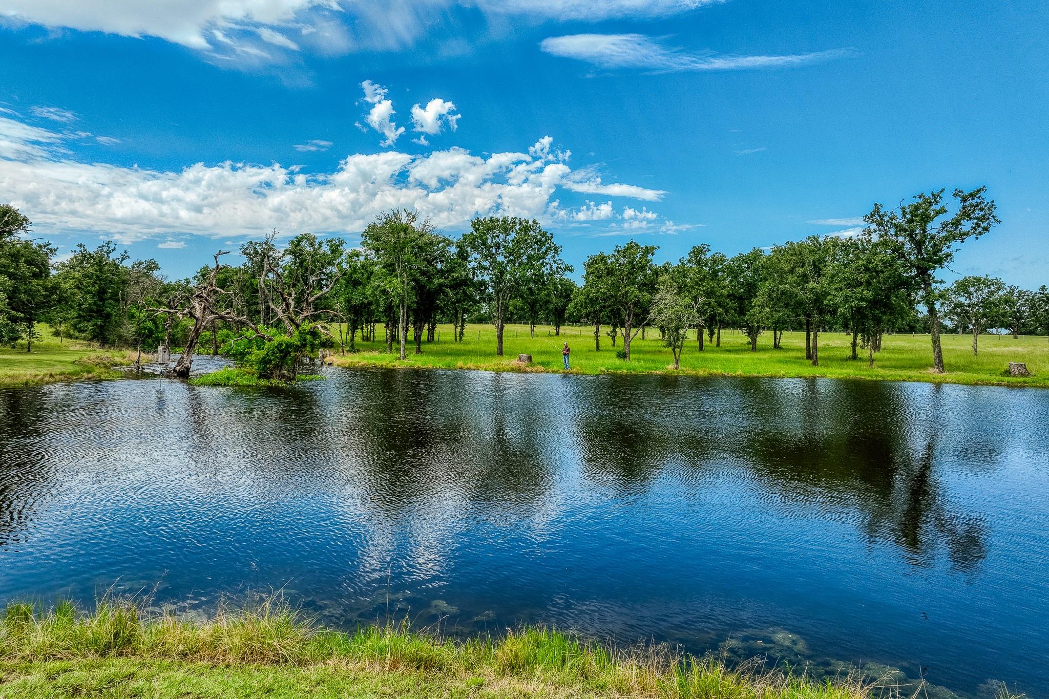 10092 County Road 446