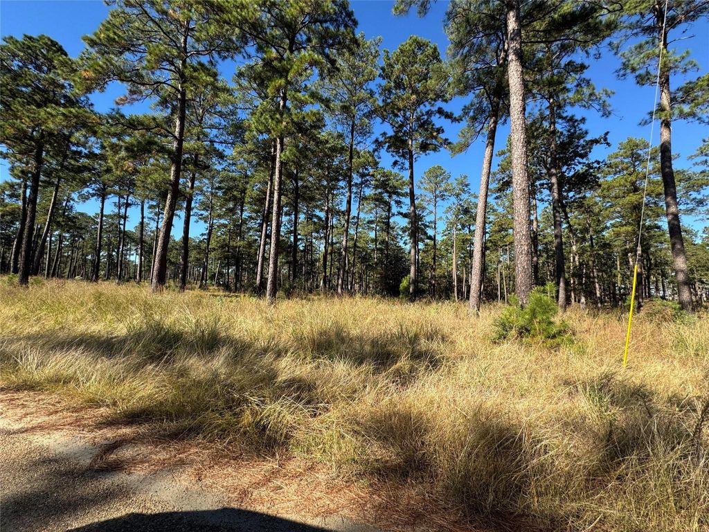 Photo of 63 Private Road 6026, Brookeland, TX 75931 (MLS # 37059478)
