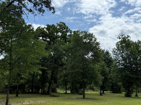 Photo of 0 Oak Bend Drive, Huntsville, TX 77320 (MLS # 44591377)