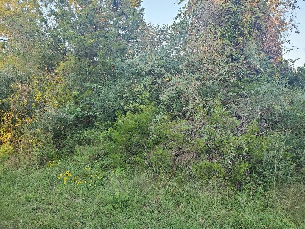 Photo of 0 N Council Drive, Hempstead, TX 77445 (MLS # 87743748)