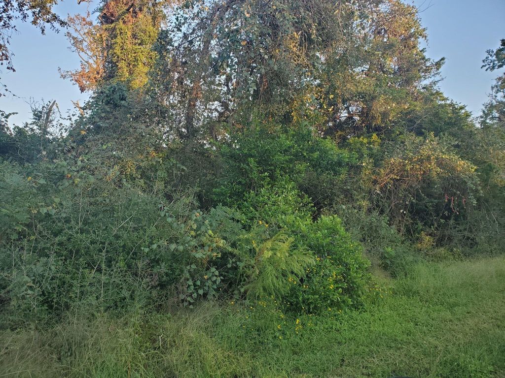 Photo of 0 N Council Drive, Hempstead, TX 77445 (MLS # 87743748)