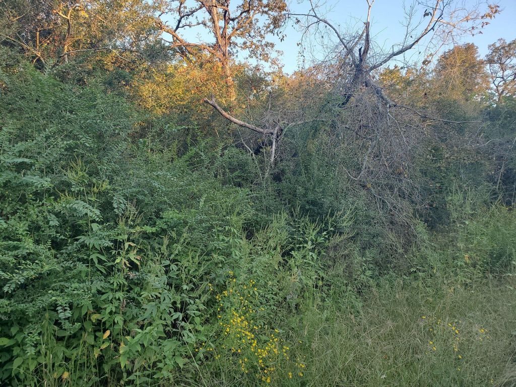 Photo of 0 N Council Drive, Hempstead, TX 77445 (MLS # 87743748)