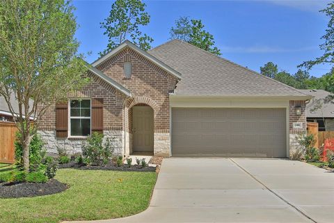 246 Brecon Buff Drive Willis TX 77318