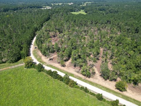 TBD Vick Spring Road New Waverly TX 77358