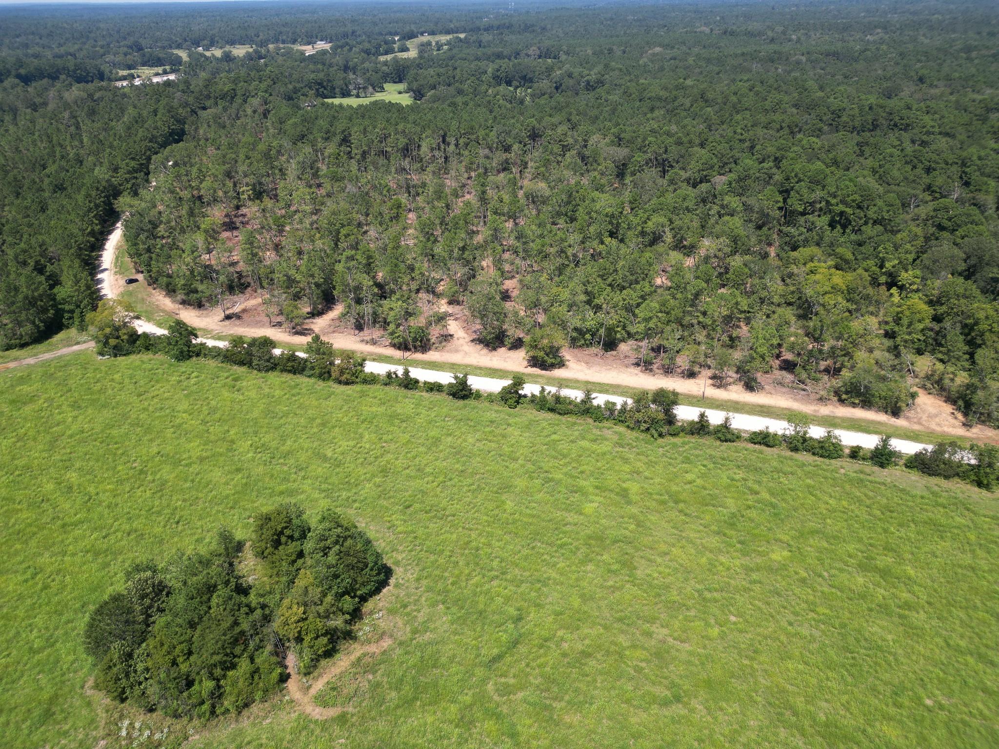 TBD Vick Spring Road