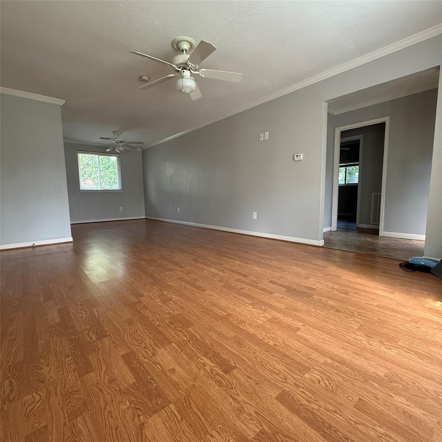 509 Avondale Lane