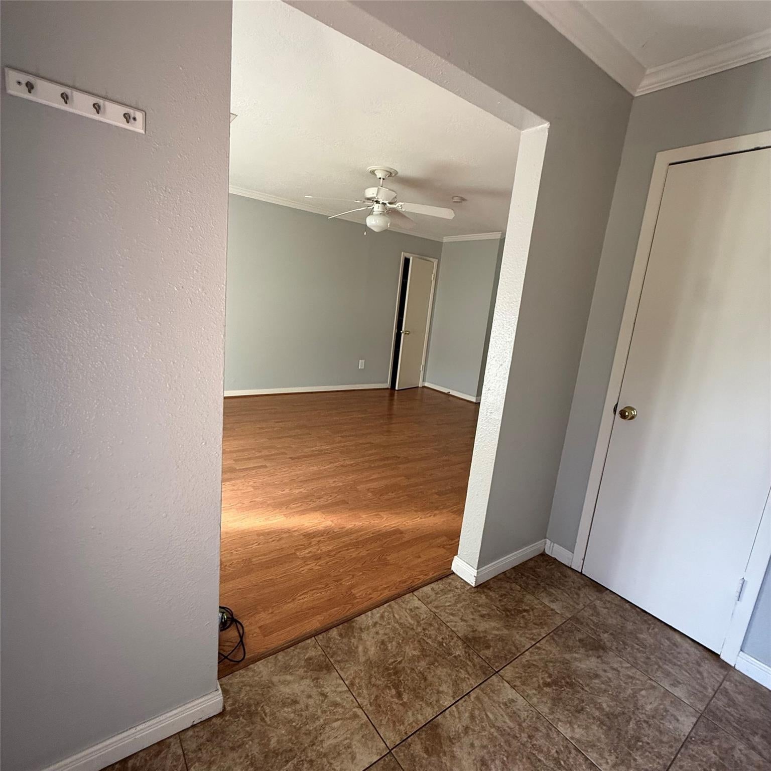 509 Avondale Lane