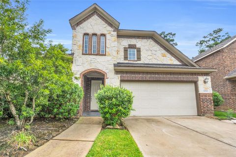 22519 Birch Ridge Meadow Dr Spring TX 77389