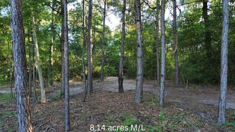 Vacant Land For Sale - R97410 Carrell Road<br/> Angelina County, Lufkin, TX 75901