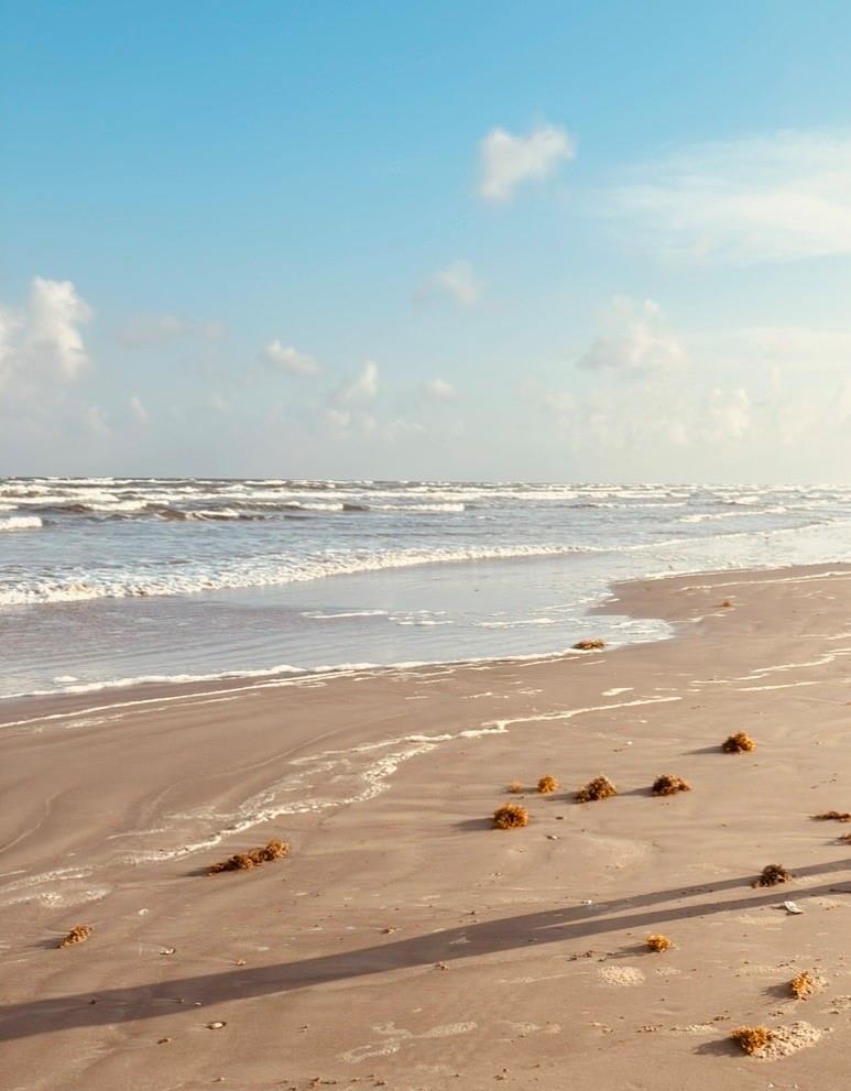 25922 Flamingo Drive